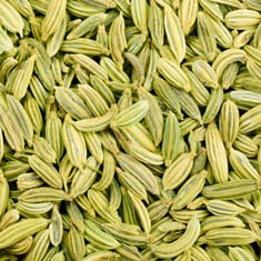 Fennel Seed
